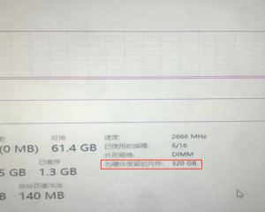关于为什么会出现为硬件保留320G内存的情况